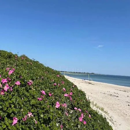 別荘 4 Star In Sydals-by Traum Nedre Lysabild